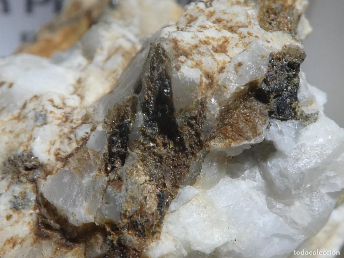 Collezionismo di minerali: (252) TURMALINA DRAVITA, ISLA DE ELBA, ITALIA.