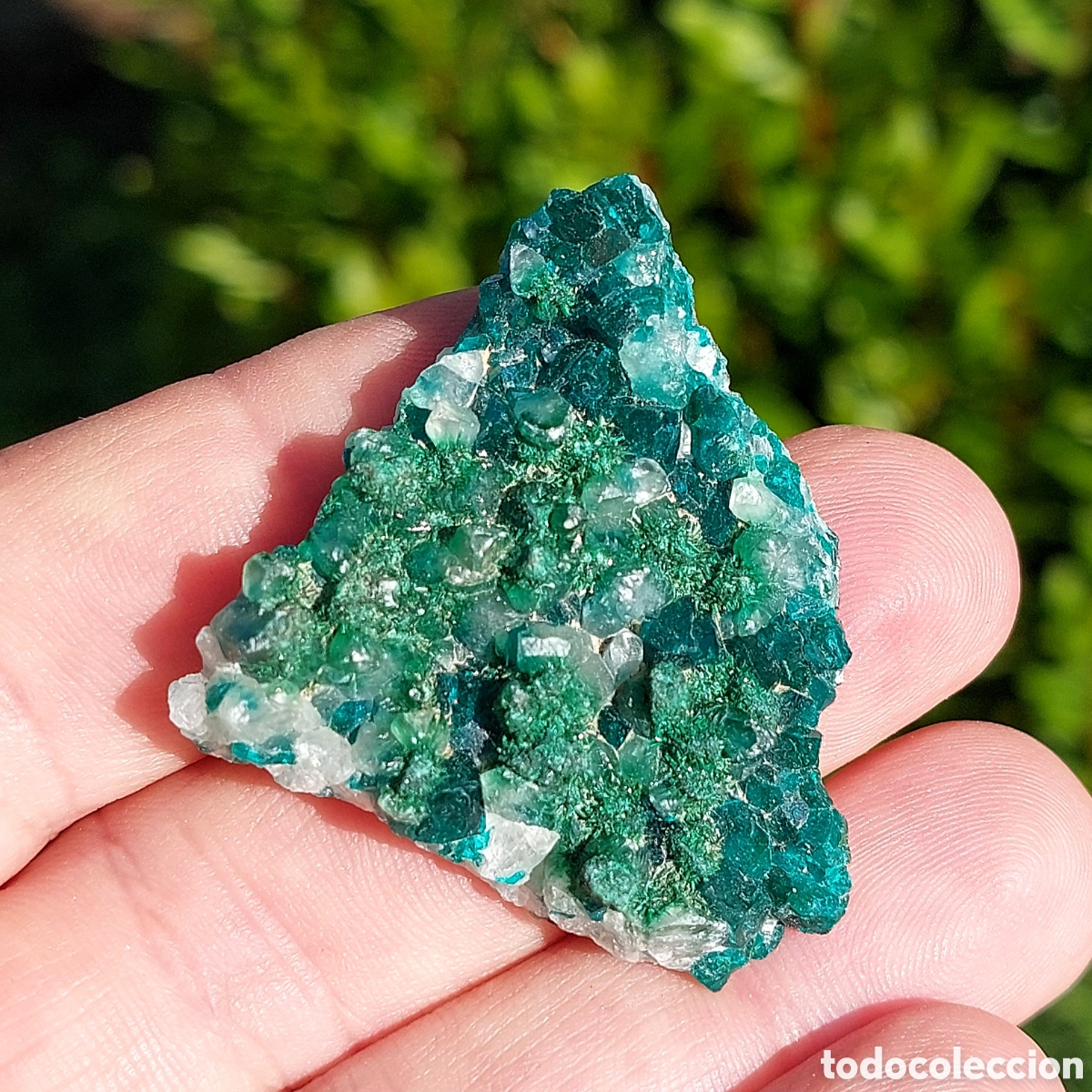 Collezionismo di minerali: Mineral Dioptasa con Malaquita