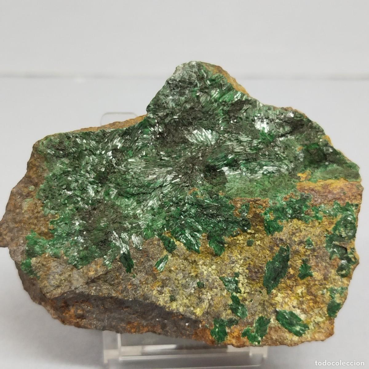 Collectionnisme de min&eacute;raux: ATACAMITA - MINERAL.