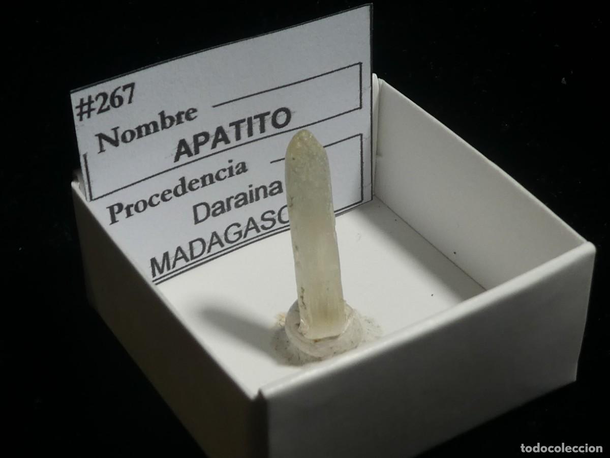 Coleccionismo de minerales: (267) APATITO, DARAINA, MADAGASCAR. - Foto 2