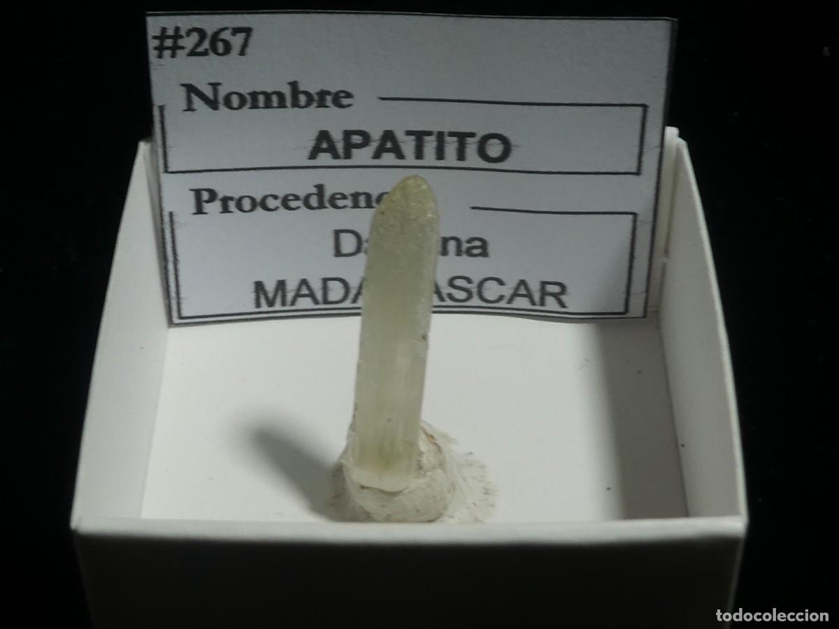 Coleccionismo de minerales: (267) APATITO, DARAINA, MADAGASCAR. - Foto 3