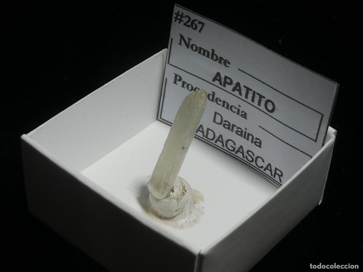 Coleccionismo de minerales: (267) APATITO, DARAINA, MADAGASCAR. - Foto 4