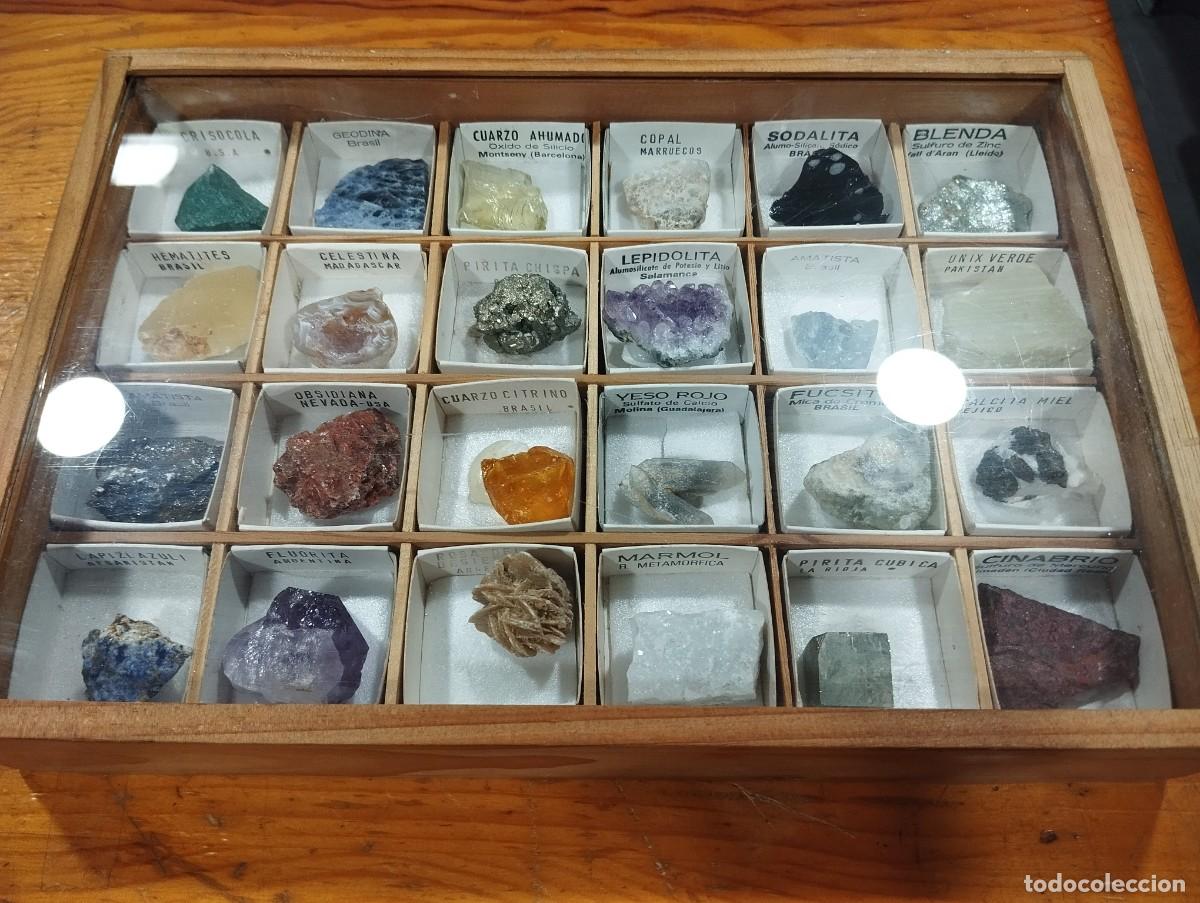 Collezionismo di minerali: COLECCI&Oacute;N DE VEINTICUATRO 24 MINERALES EN CAJA EXPOSITORA DE MADERA Y CRISTAL.