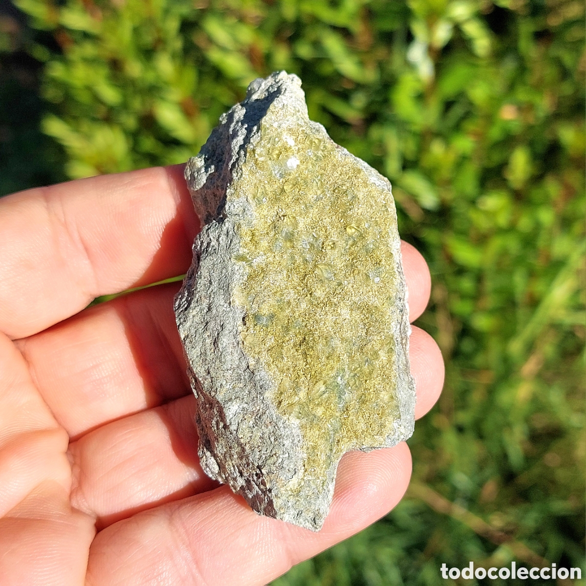 Coleccionismo de minerales: Clinozoisita con Cuarzo Matriz Natural