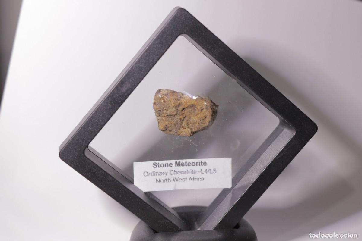 Coleccionismo de minerales: Meteorito Condrita Set Deluxe NWA Certificado (#4139)