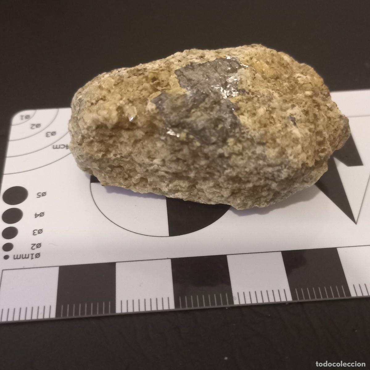 Coleccionismo de minerales: Galena. Falset. Catalunya