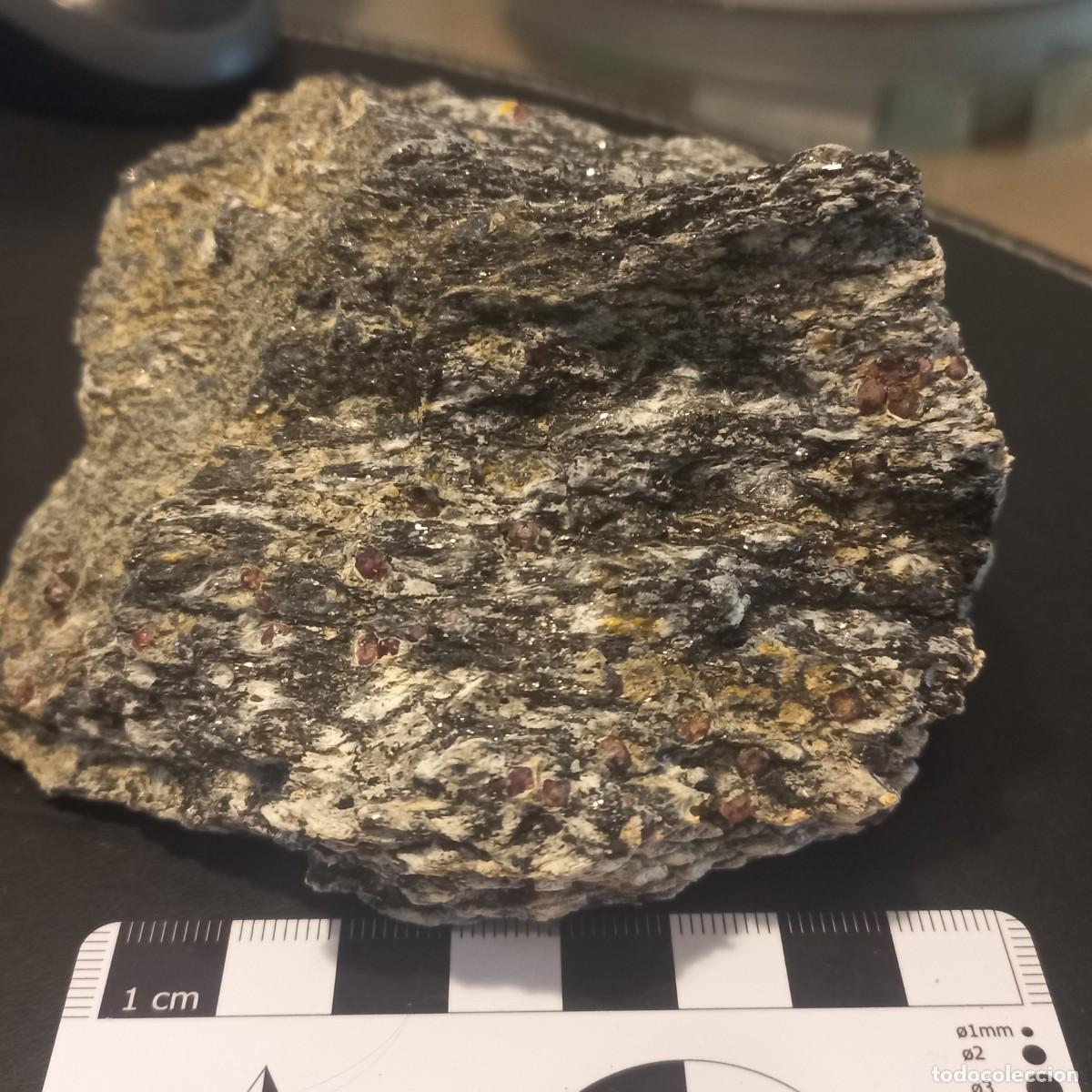 Coleccionismo de minerales: Xenolito Silimanita, Cordierita y Almandino