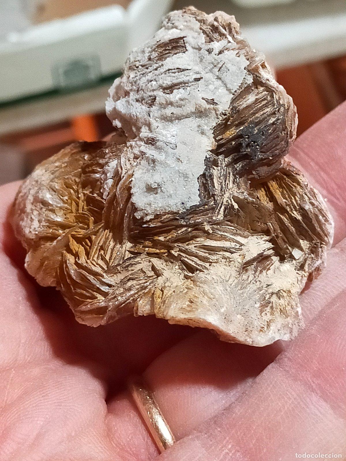 Coleccionismo de minerales: Barite Naturale - Cristallo Grezzo da Meditazione (4.5x5.5x3.5 cm)