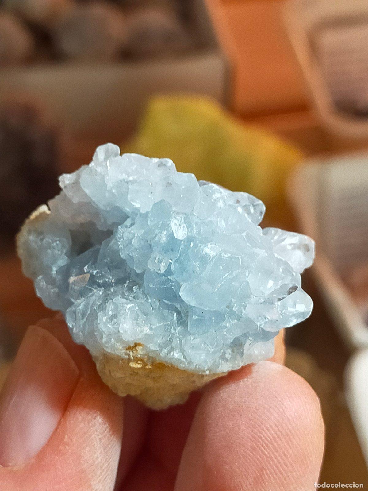 Coleccionismo de minerales: Drusa di Celestina del Madagascar - Cristallo Naturale Azzurro per Meditazione e Relax