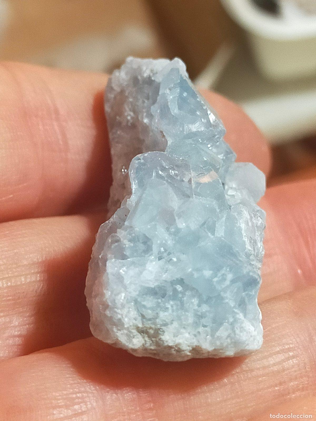 Coleccionismo de minerales: Celestina Grezza Azzurro Naturale - Cristallo per Soggiorno e Meditazione
