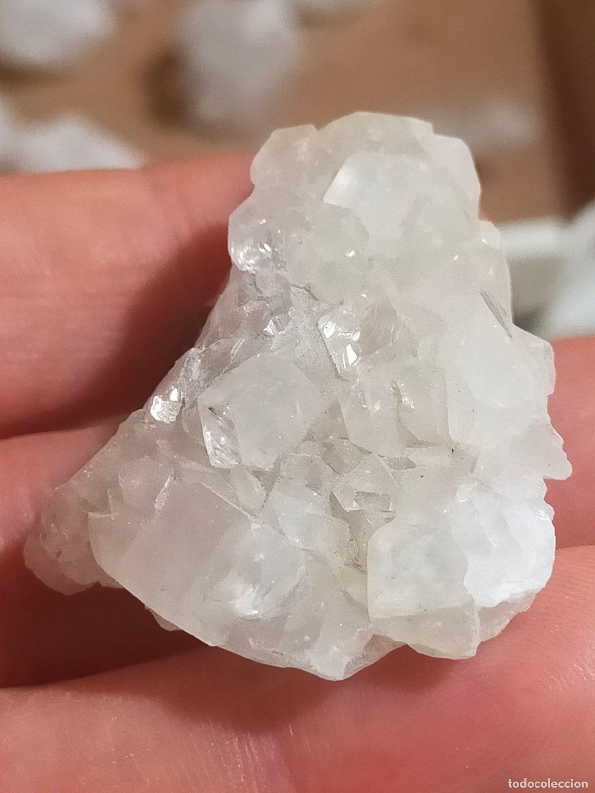Coleccionismo de minerales: Apofillite Grezza Bianco Traslucido - Cristallo Naturale per Meditazione e Cristalloterapia