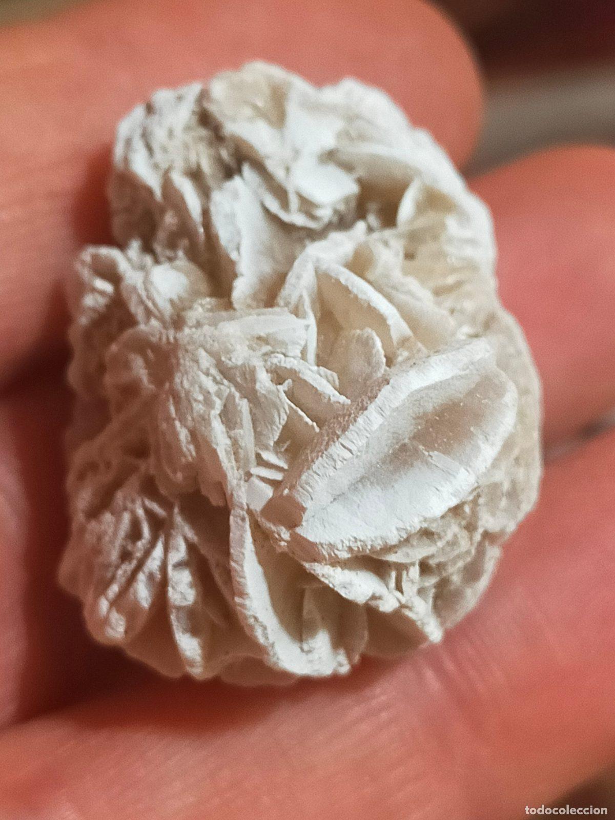 Coleccionismo de minerales: Rosa del Deserto Naturale (3.5 cm) - Cristallo Minerale per Meditazione