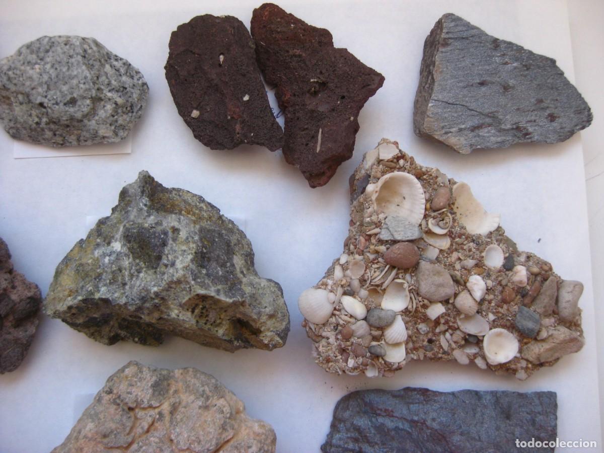 Coleccionismo de minerales: ROCAS LOTE DE 41 MUESTRAS - Foto 12