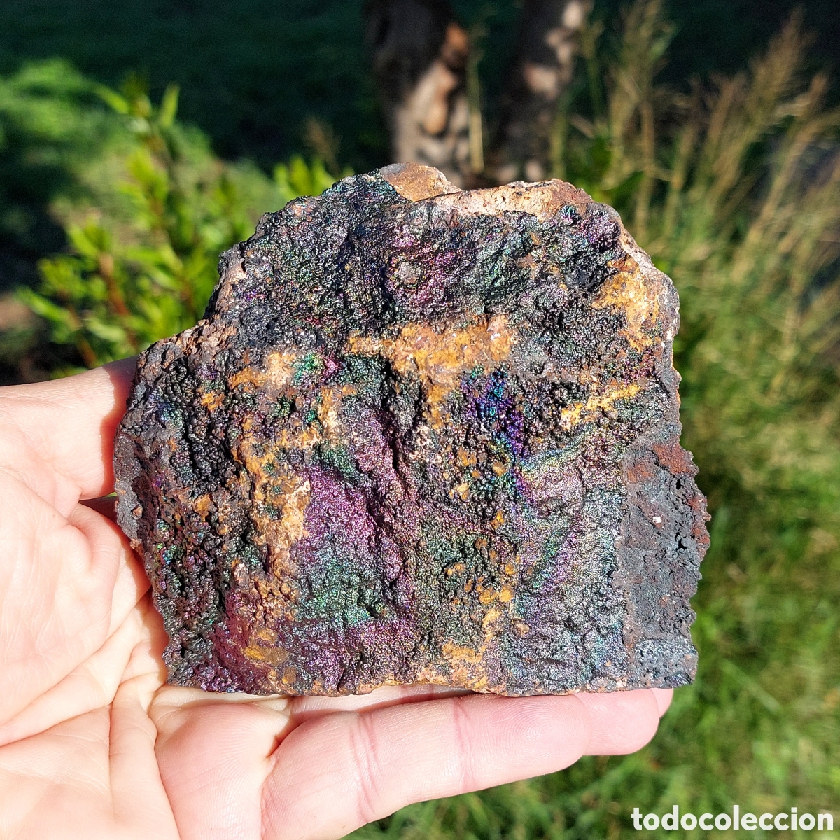 Coleccionismo de minerales: Impresionante Mineral de Goethita 11,6 cm