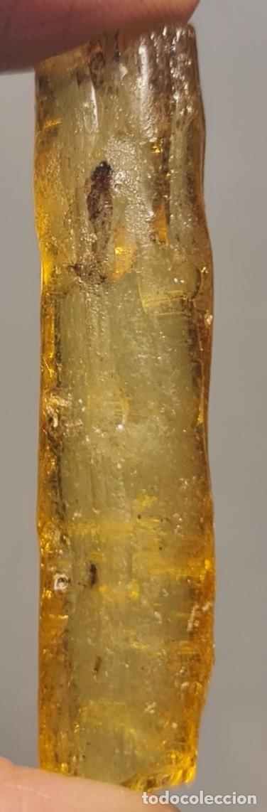 Coleccionismo de minerales: Copal de Madagascar con inclusi&oacute;n de mosquito &ndash; fragmento natural de resina subf&oacute;sil, 5 cm, 3 g