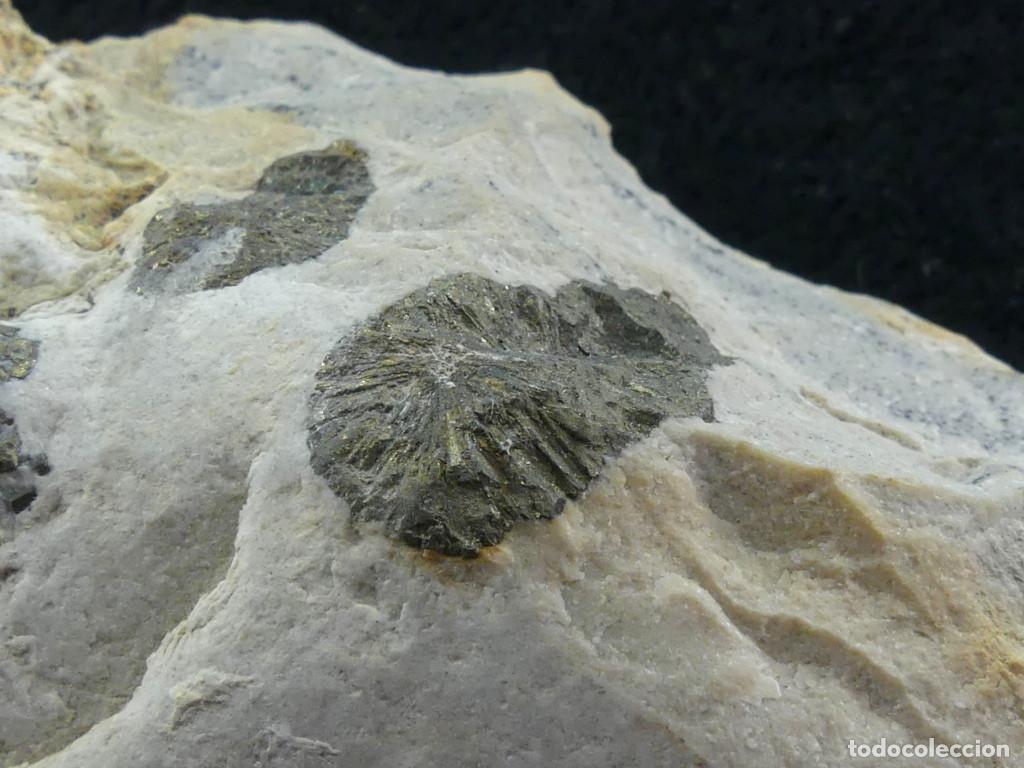 Coleccionismo de minerales: Marcasita, Agost, Alicante