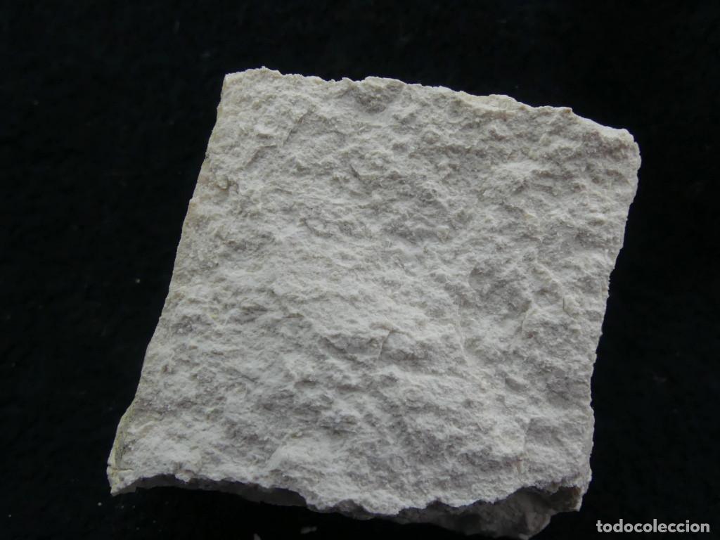 Coleccionismo de minerales: Sepiolita, Vallecas, Madrid