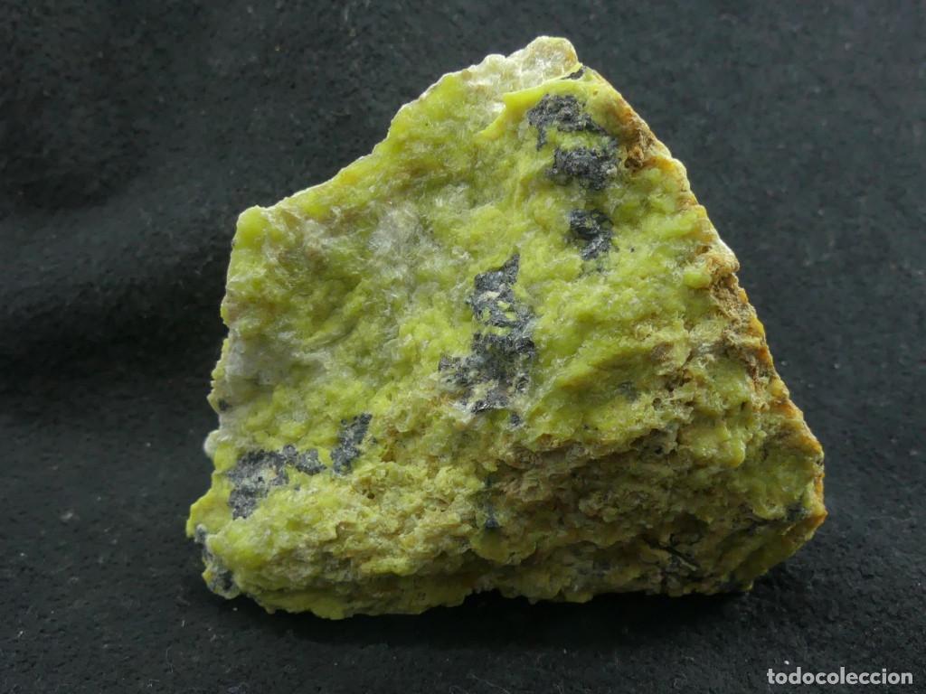 Coleccionismo de minerales: Lizardita, Viken, Noruega - Foto 1