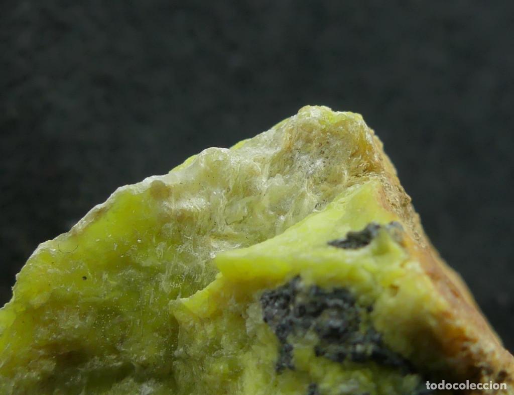 Coleccionismo de minerales: Lizardita, Viken, Noruega - Foto 2