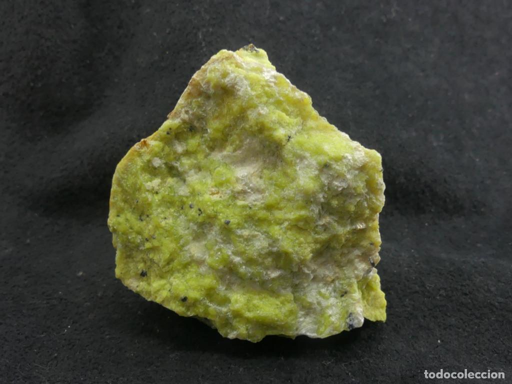 Coleccionismo de minerales: Lizardita, Viken, Noruega - Foto 3