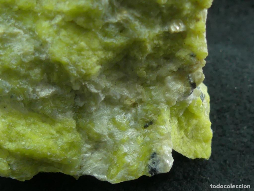Coleccionismo de minerales: Lizardita, Viken, Noruega - Foto 4