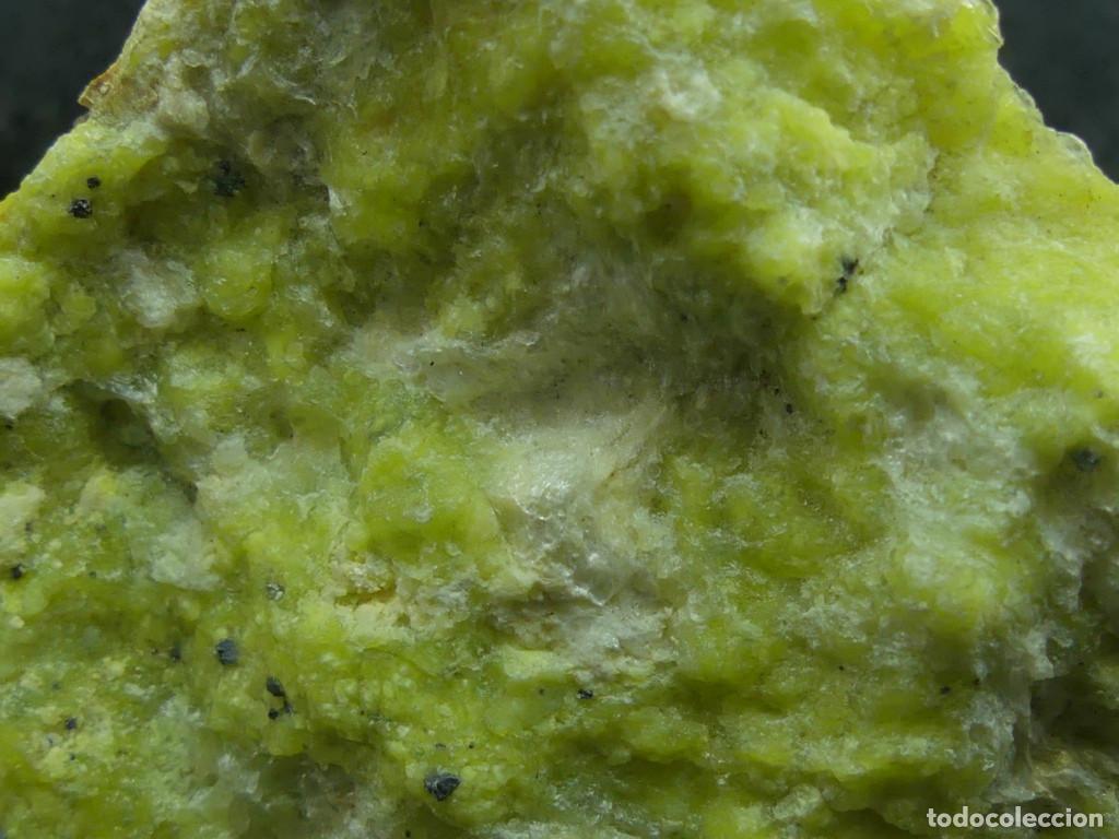 Coleccionismo de minerales: Lizardita, Viken, Noruega - Foto 5