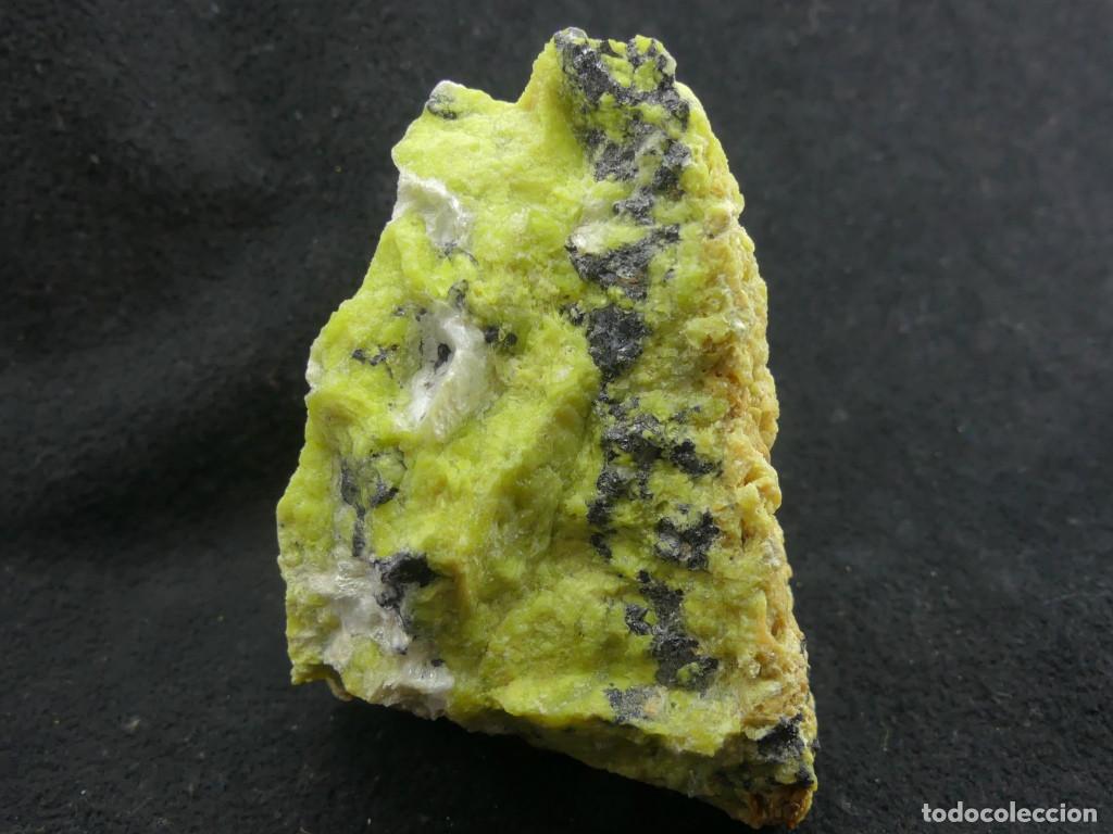 Coleccionismo de minerales: Lizardita, Viken, Noruega - Foto 6