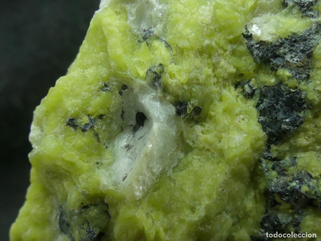 Coleccionismo de minerales: Lizardita, Viken, Noruega - Foto 7