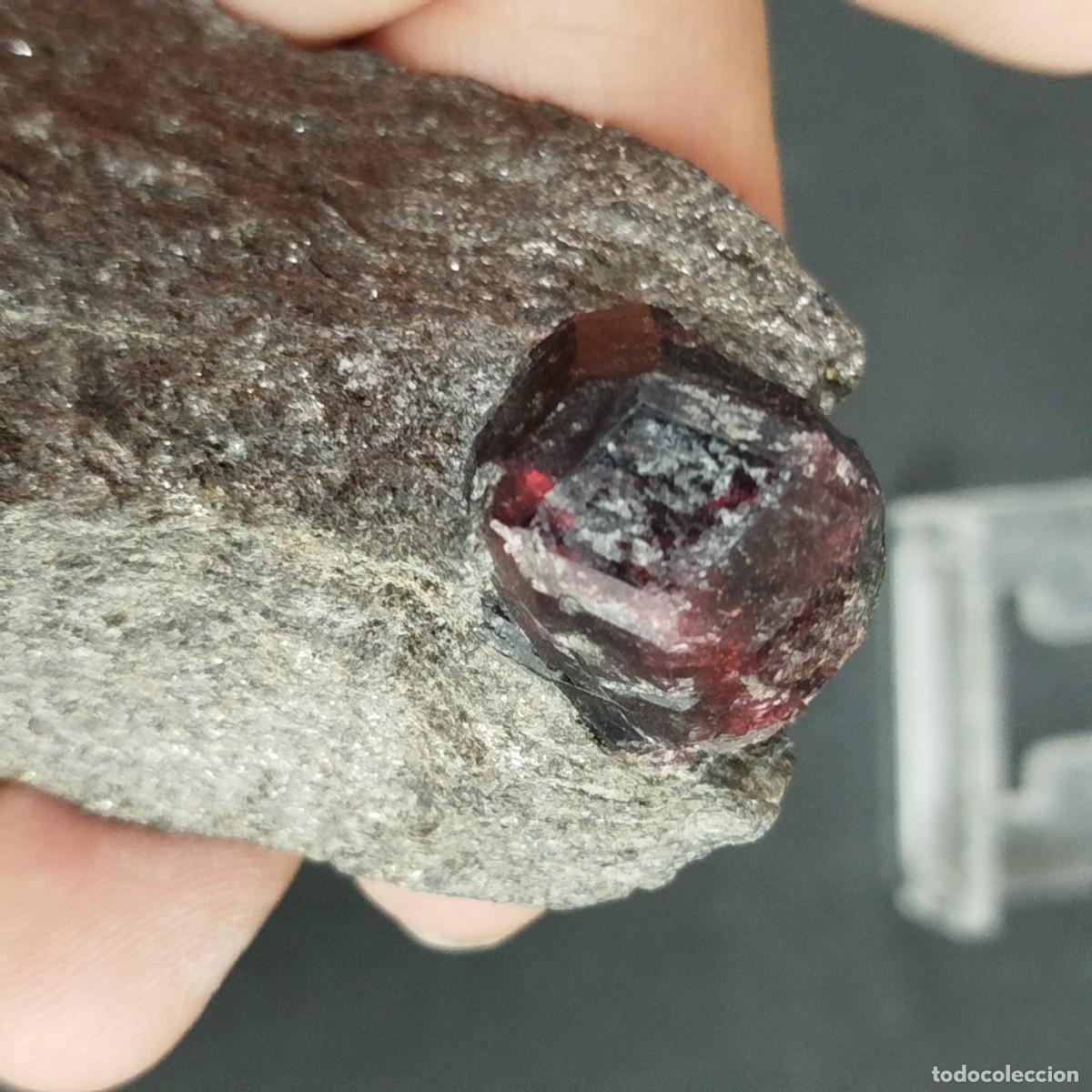 Coleccionismo de minerales: GRANATE ALMANDINO - Alaska - Foto 2