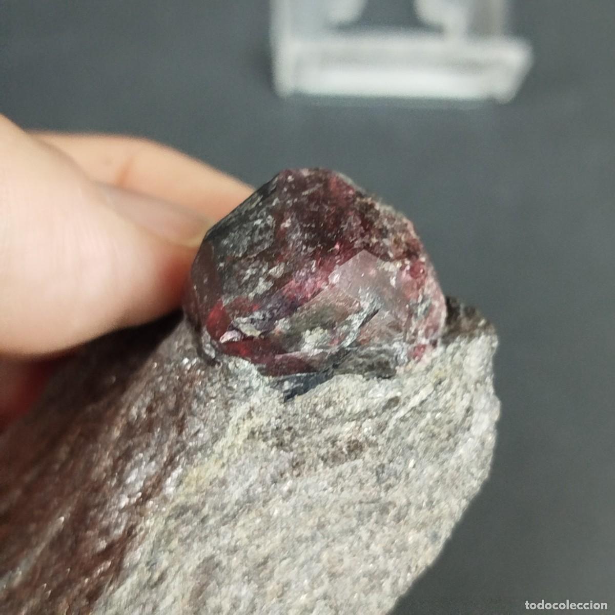 Coleccionismo de minerales: GRANATE ALMANDINO - Alaska - Foto 3