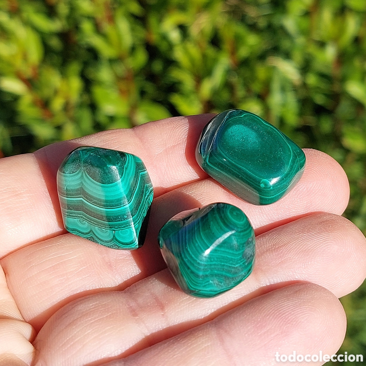 Coleccionismo de minerales: Malaquita Mineral Natural 3 Rodados