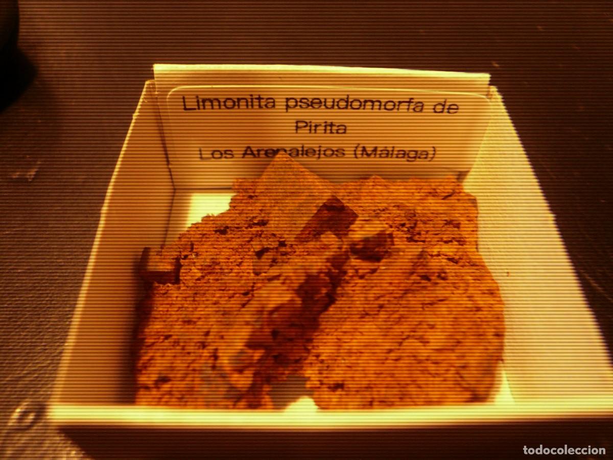 Coleccionismo de minerales: Limonita pseudomorfa de Pirita. M&aacute;laga.En caja 4x4