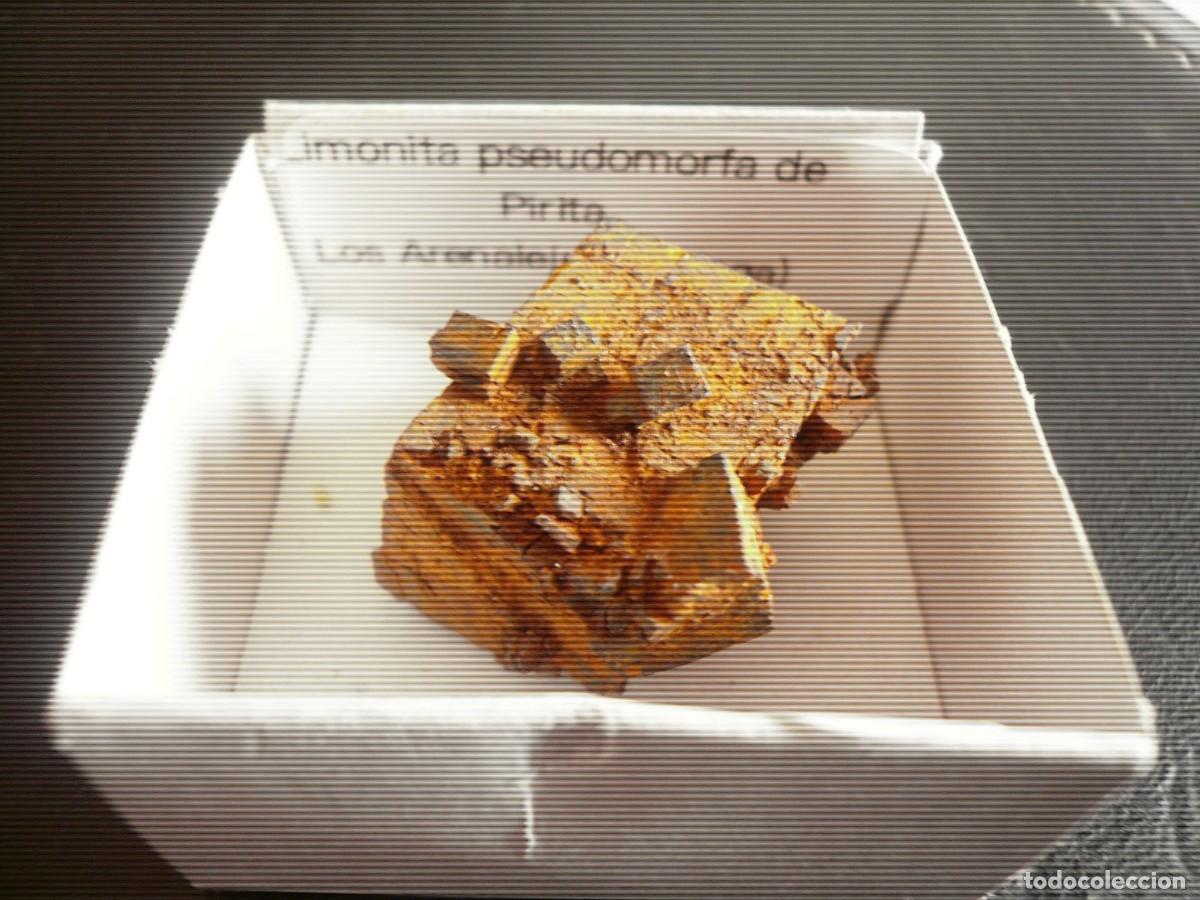 Coleccionismo de minerales: Limonita pseudomorfa de Pirita. M&aacute;laga.En caja 4x4