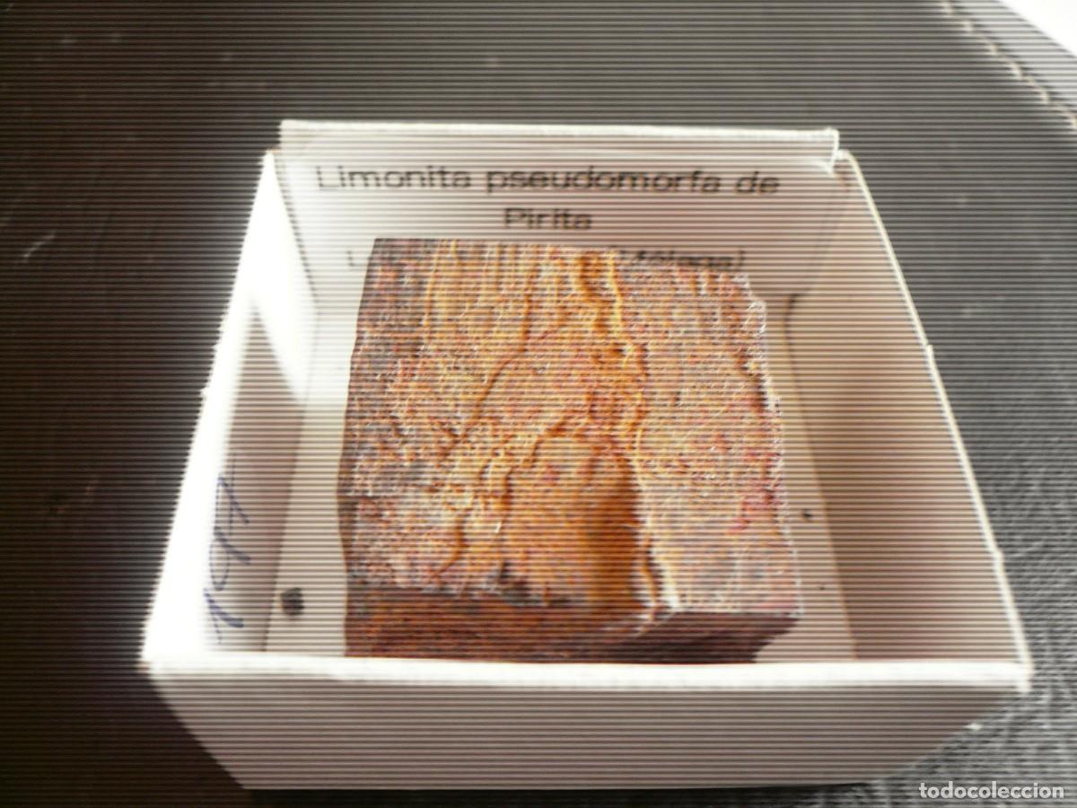 Coleccionismo de minerales: Limonita pseudomorfa de Pirita. M&aacute;laga.En caja 4x4