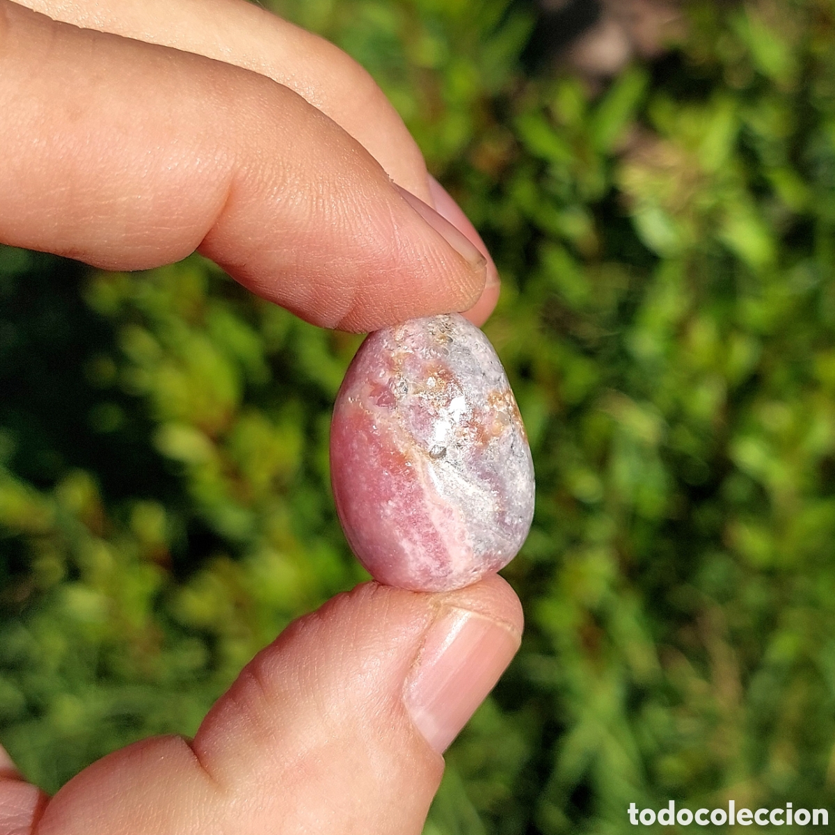 Coleccionismo de minerales: Rodocrosita de Argentina 2,7 cm