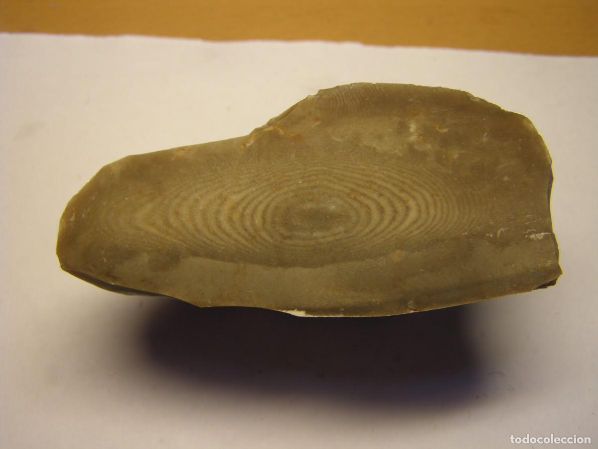 Coleccionismo de minerales: Fragmento de s&iacute;lex con anillos de liesegang, pesa 341 gramos.