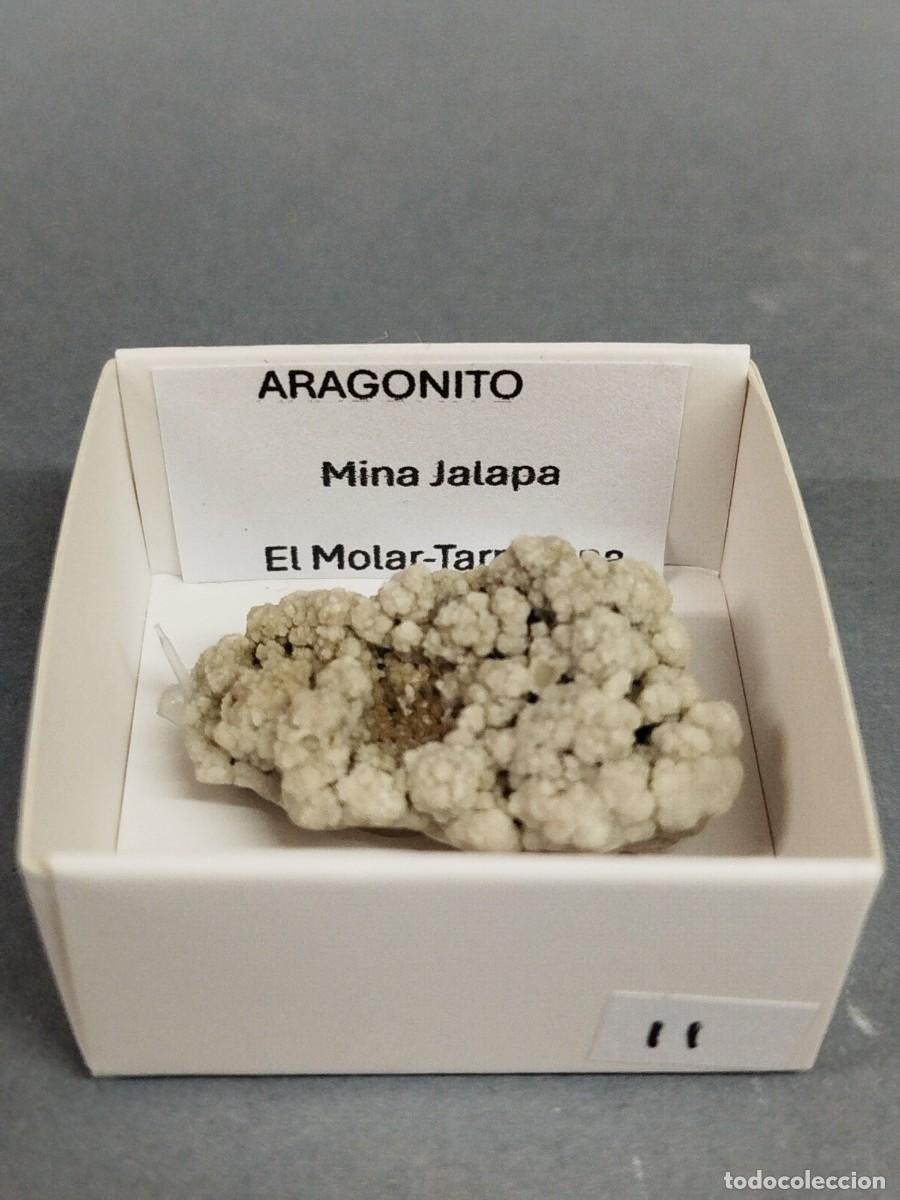 Colecionismo de minerais: ARAGONITO - MINERAL. Tarragona