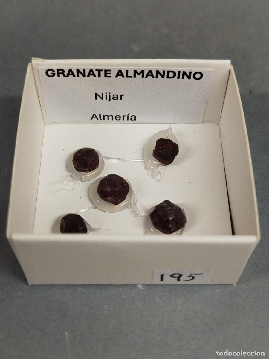 Coleccionismo de minerales: GRANATE ALMANDINO - MINERAL.Almeria. en caja 4x4