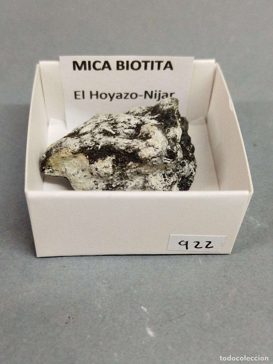 Coleccionismo de minerales: BIOTITA + SILLIMANITA - Mineral. Almer&iacute;a. 4x4