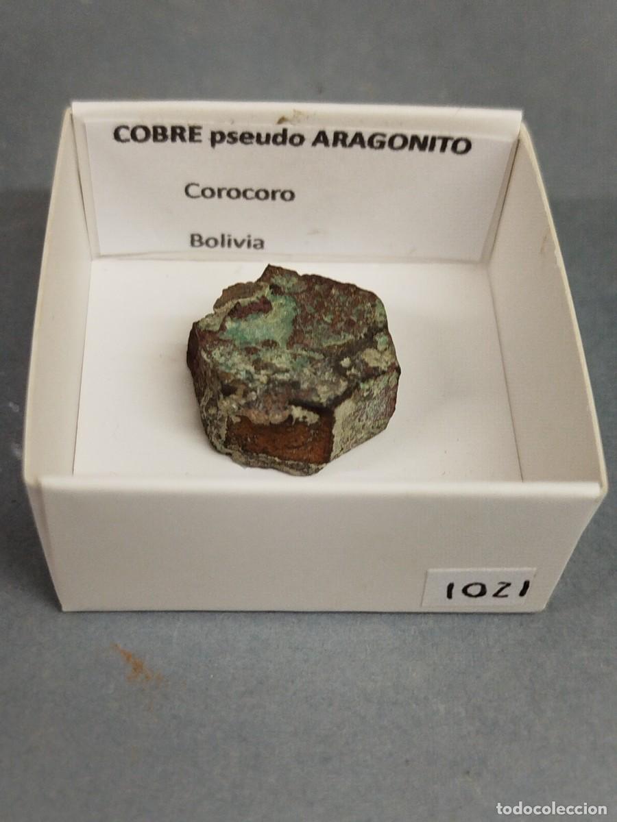 Coleccionismo de minerales: COBRE paeudomorfico de ARAGONITO . Bolivia.