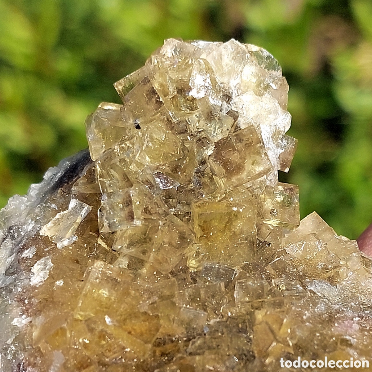 Coleccionismo de minerales: Mineral Fluorita de Asturias Espa&ntilde;a 8,5 cm