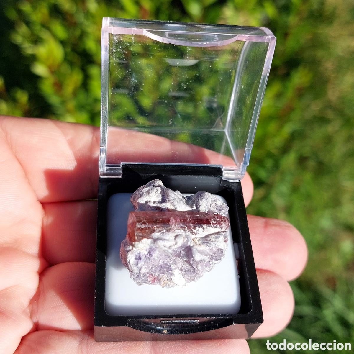 Coleccionismo de minerales: Turmalina Elabaita Rosa en Matriz