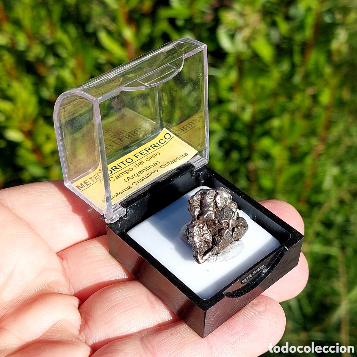 Coleccionismo de minerales: Meteorito Campo del Cielo 14 Gramos
