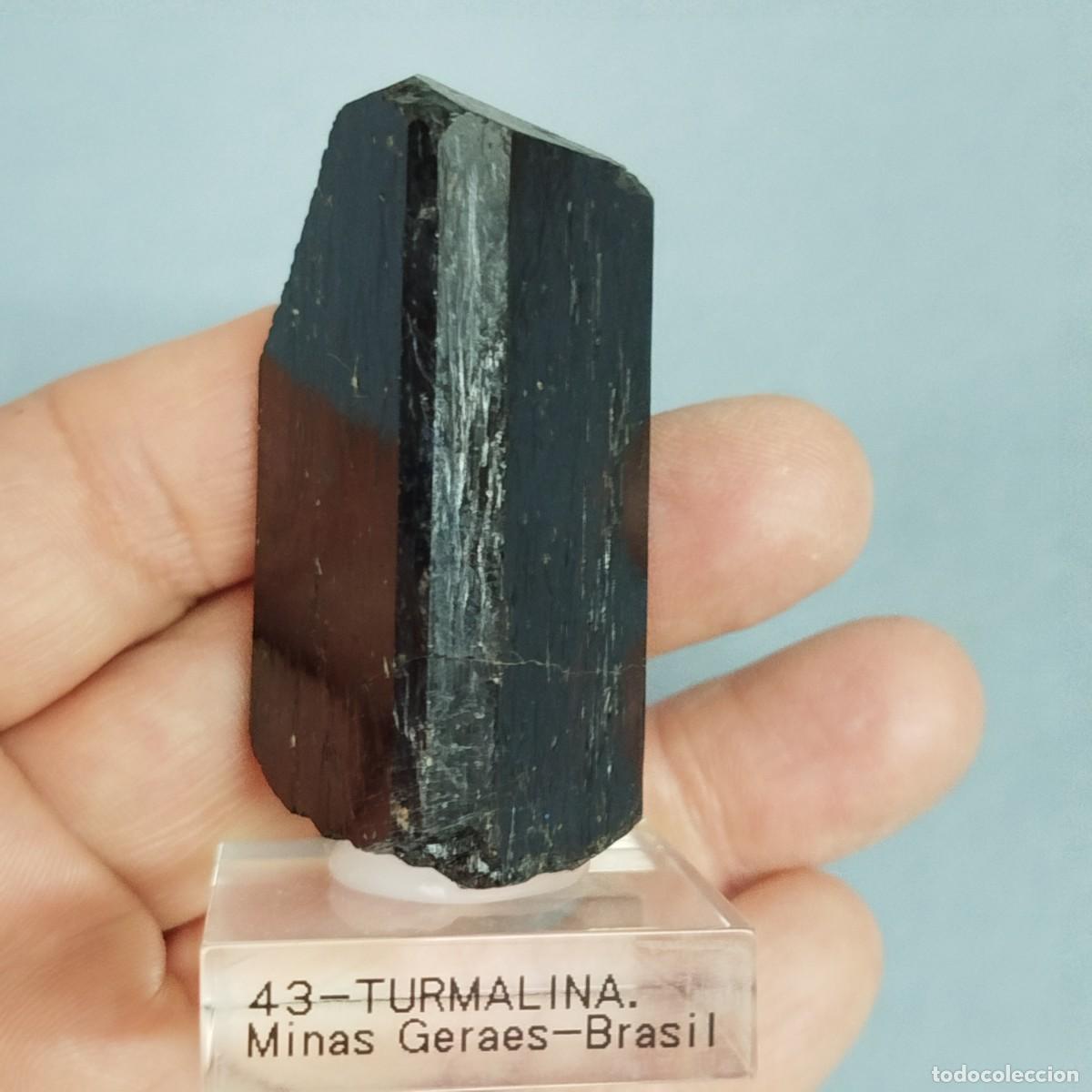 Coleccionismo de minerales: TURMALINA. MINERAL. Brasil