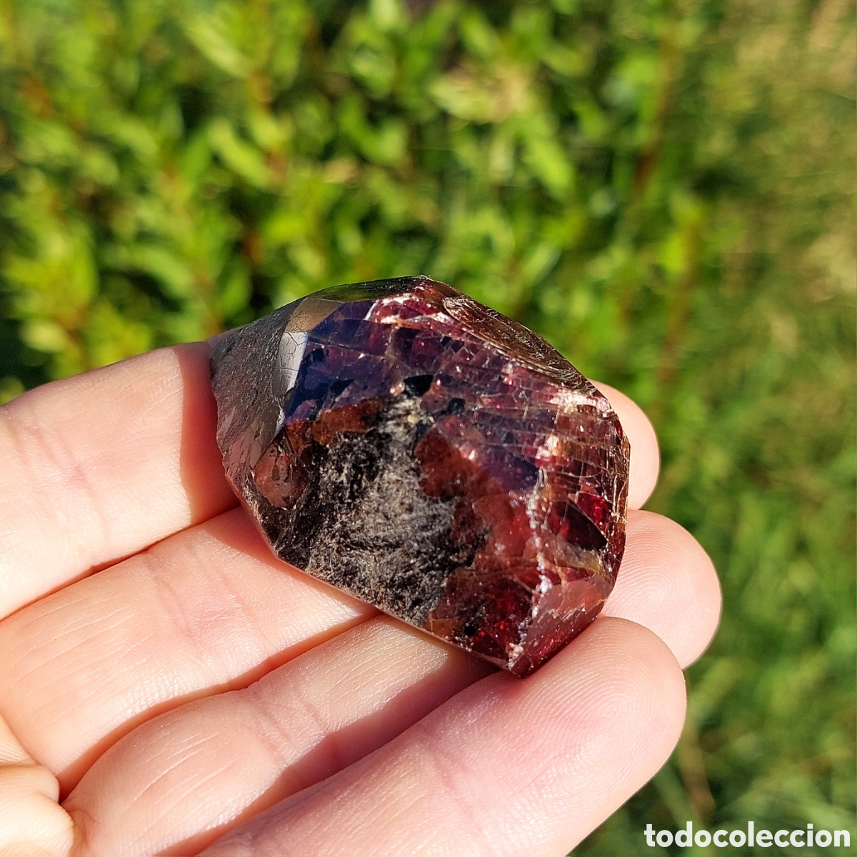 Coleccionismo de minerales: Mineral de Granate de La India 5,3 cm