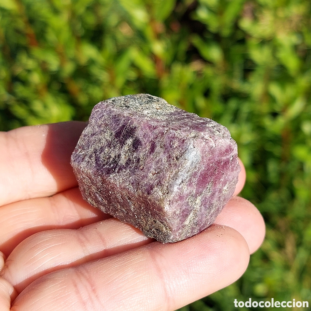 Coleccionismo de minerales: Rub&iacute; Natural en Tama&ntilde;o Grande 3,5 cm