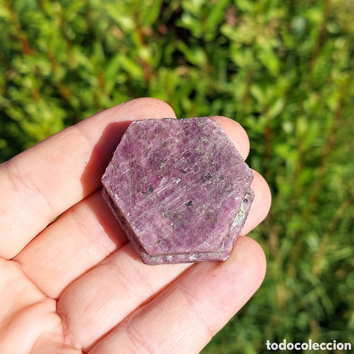 Coleccionismo de minerales: Mineral Rub&iacute; Natural de La India