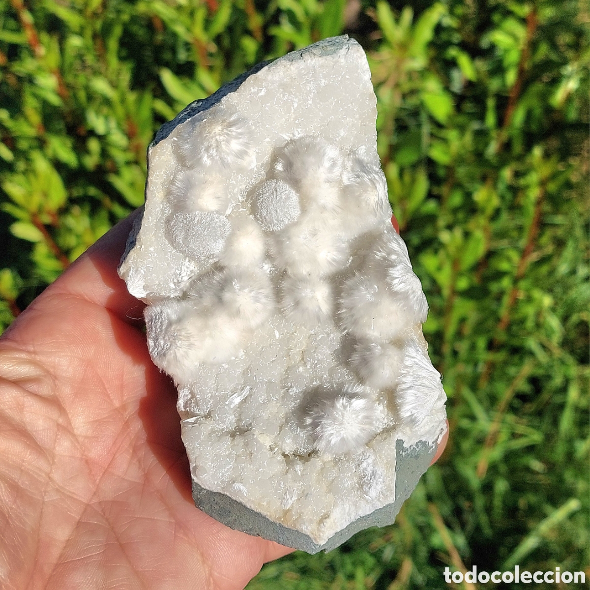 Coleccionismo de minerales: Magn&iacute;fico Ejemplar de Mineral Okenita 12,8 cm