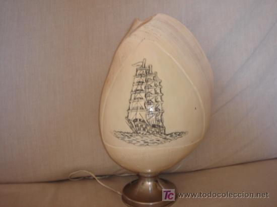 Molluscs collecting: L&Aacute;MPARA DE SOBREMESA DE CONCHA NATURAL TALLADA Y BASE MET&Aacute;LICA. 26 CMS DE ALTURA.