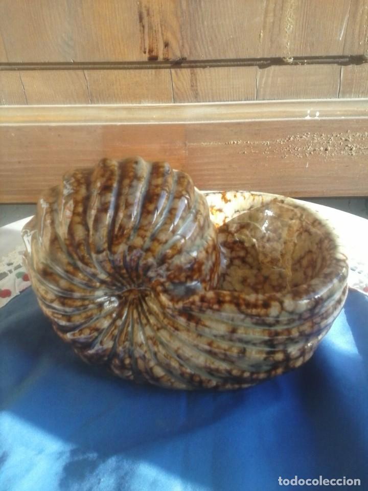 Coleccionismo de moluscos: CARACOLA DE CERAMICA . - Foto 2
